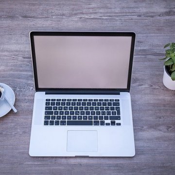 Open Laptop on desk beside a plant
